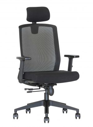 Ergonominė kėdė Flexus HRU