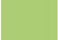 Fano spalva Matt lime green