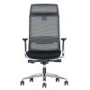 Ergonominė kėdė Olympus HB su juosmens atrama ir chromuotais porankiais