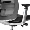 Ergonominės kėdės Olympus HB chromuoti porankiai