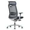 Ergonominė kėdė Olympus HB su juosmens atrama ir chromuotais porankiais
