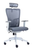 Ergonominė kėdė Rivö HRU white su baltu rėmu.