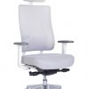 Ergonominė kėdė X-trans white HRU su chromuota baze