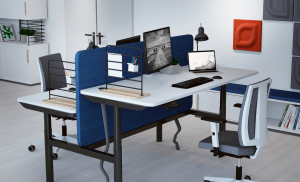 Ergonominės darbo vietos sukūrimas.