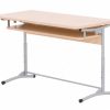 Double adjustable school desk E-172