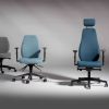 Ergonominių kėdžių Bjarg galimi aukščių variantai