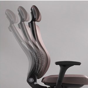 Trium plus chair.