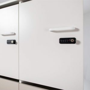 Cabinets Puzlo with combination fixed code lock.