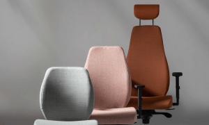 Ergonomic chair Bjarg with different backrests.