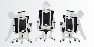 Ergonomic chair Promax HRU backrest.