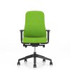 Ergonominė kėdė Souly UPH