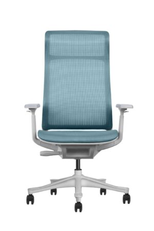 Ergonominė kėdė Viken white HB su šviesiu rėmu ir porankiais